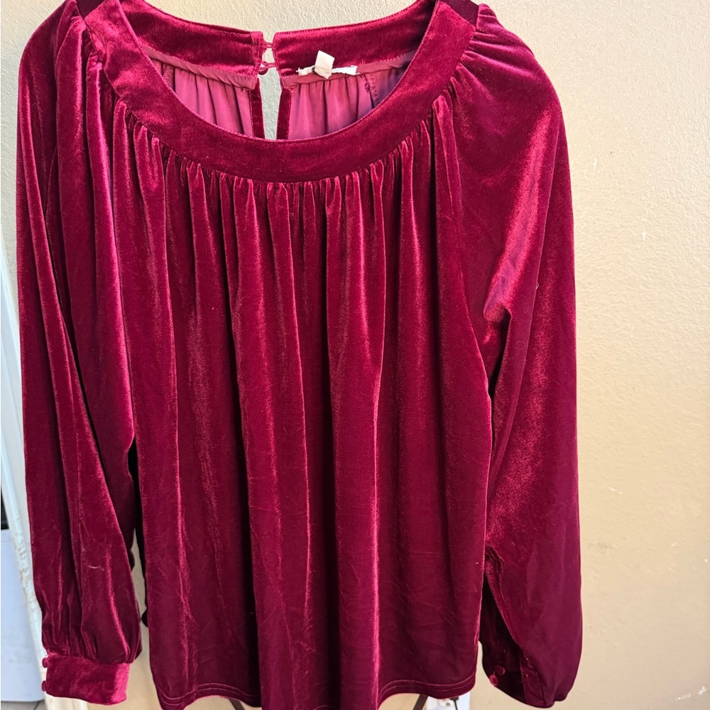 Umgee Velvet Burgundy Blouse